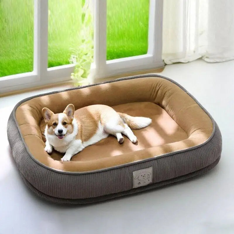 Chien beige reposant dans un coussin pour chien confortable toutes saisons, rembourré et lavable.