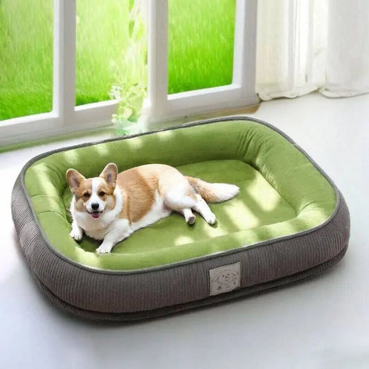 Petit chien allongé dans un coussin pour chien déhoussable vert, parfait pour un sommeil réparateur.