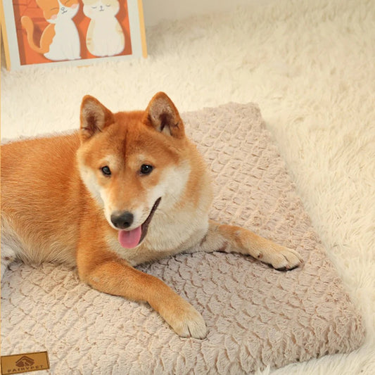 Coussin pour Chien Déhoussable – Rectangulaire, Doux et Lavable - Noble Truffe