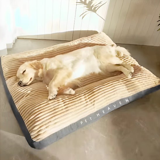 Coussin pour Chien Douillet – Velours Côtelé | XL à XXXL - Noble Truffe