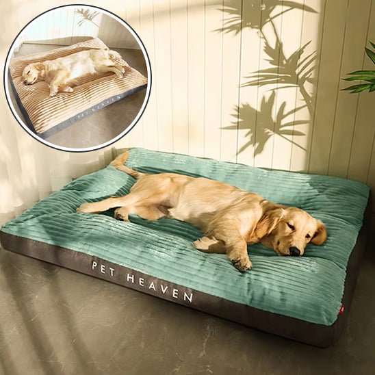 Coussin pour Chien Douillet – Velours Côtelé | XL à XXXL - Noble Truffe