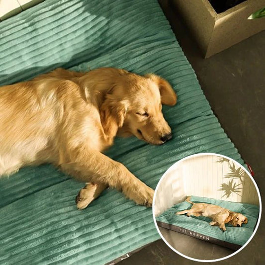 Coussin pour Chien Douillet – Velours Côtelé | XL à XXXL - Noble Truffe