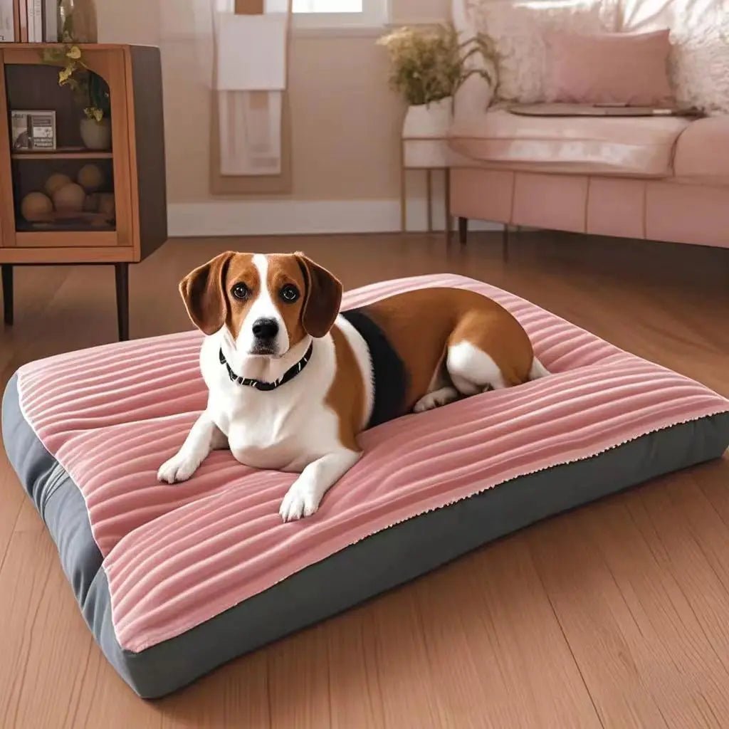 Coussin pour Chien Douillet – Velours Côtelé | XL à XXXL - Noble Truffe