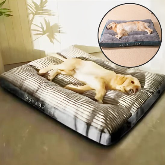 Coussin pour Chien Douillet – Velours Côtelé | XL à XXXL - Noble Truffe