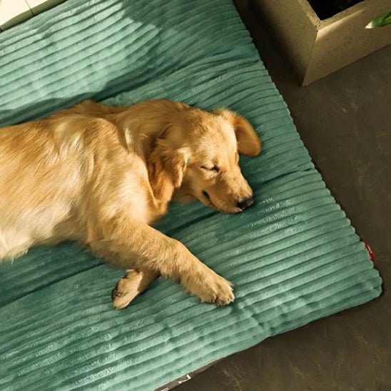 Coussin pour Chien Douillet – Velours Côtelé | XL à XXXL - Noble Truffe