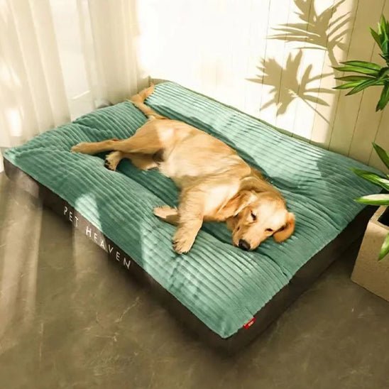 Coussin pour Chien Douillet – Velours Côtelé | XL à XXXL - Noble Truffe