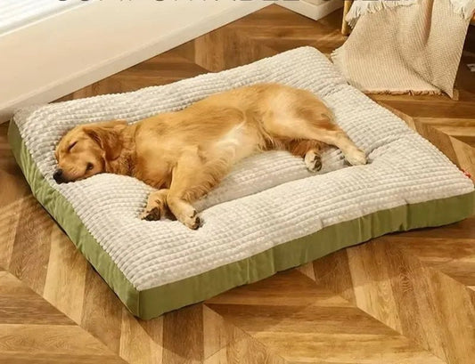 Coussin pour Chien Douillet – Velours Côtelé | XL à XXXL - Noble Truffe