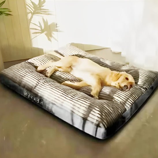 Coussin pour Chien Douillet – Velours Côtelé | XL à XXXL - Noble Truffe