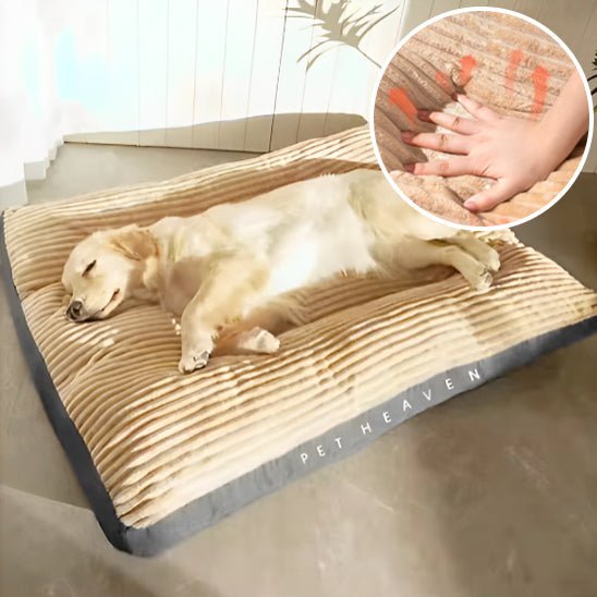 Coussin pour Chien Douillet – Velours Côtelé | XL à XXXL - Noble Truffe