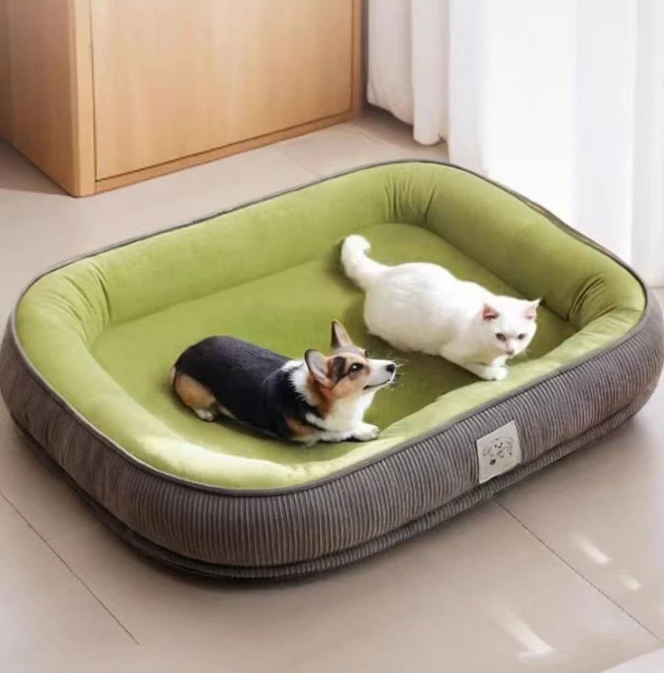 Chien de taille moyenne allongé dans un grand coussin pour chien lavable avec rebords rembourrés.