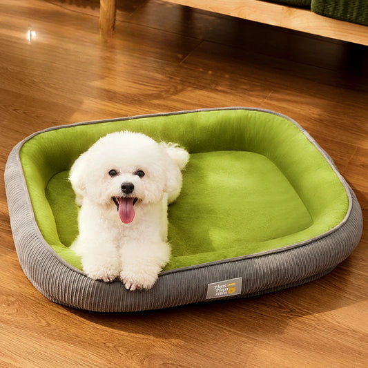 Petit chien blanc assis dans un coussin pour chien lavable vert et gris, confortable et déhoussable.