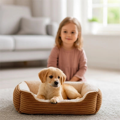 chiot allongé dans un coussin chien velours beige confortable