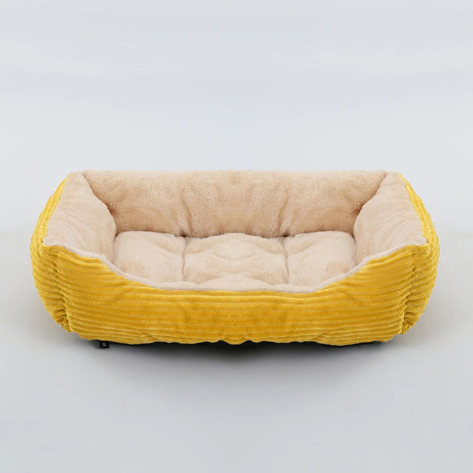 coussin chien velours crème avec liseré noir contrastant