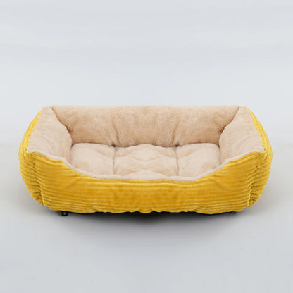 coussin chien velours crème avec liseré noir contrastant