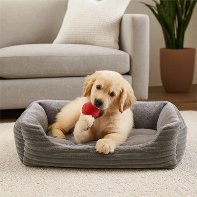 chien assis dans un coussin chien velours gris moelleux
