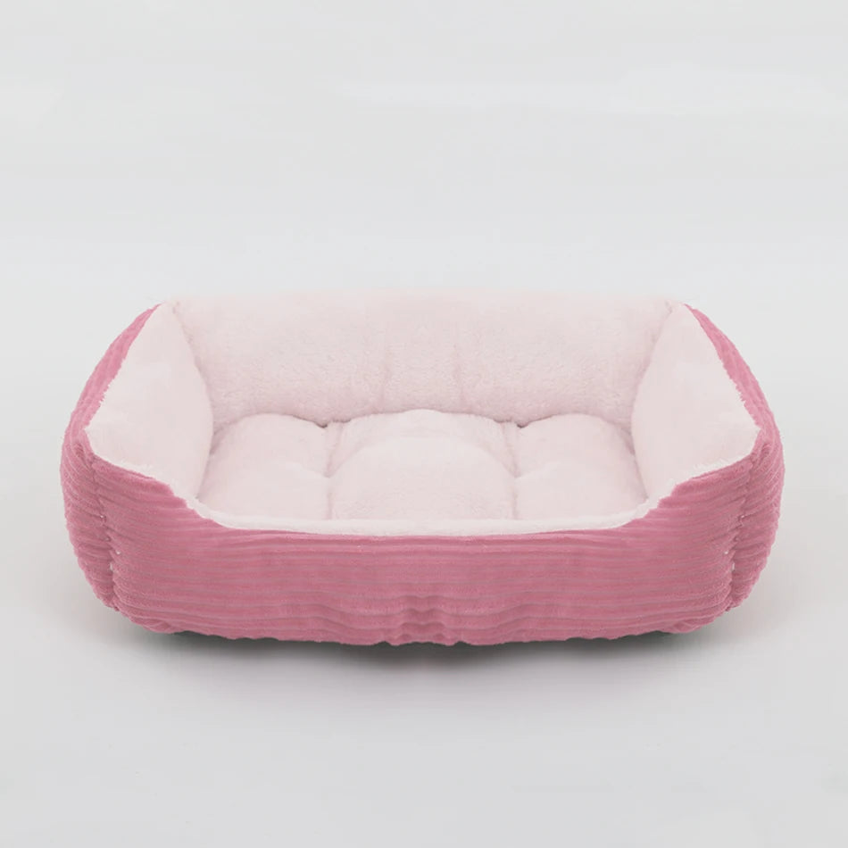 coussin chien velours gris rouge bicolore
