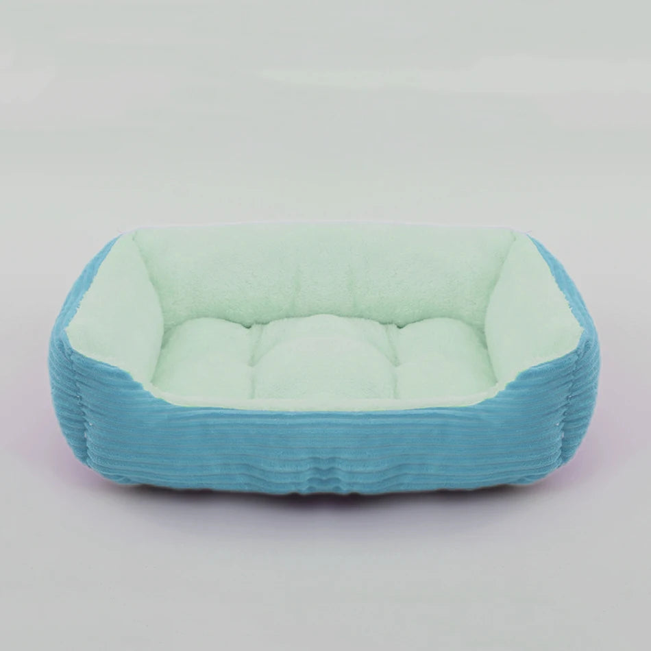 coussin chien velours vert pastel doux et moelleux