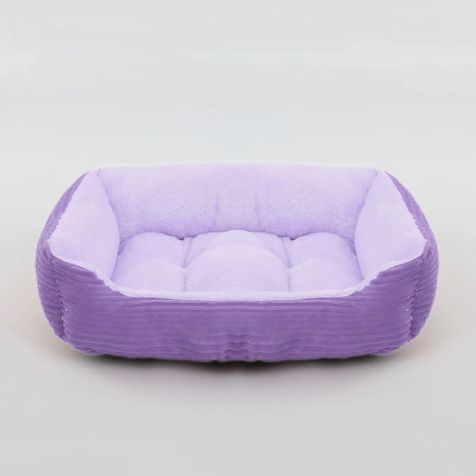 coussin chien velours violet clair élégant et doux