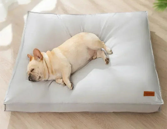 Petit bouledogue français endormi sur un coussin orthopédique imperméable blanc, confortable et lavable.