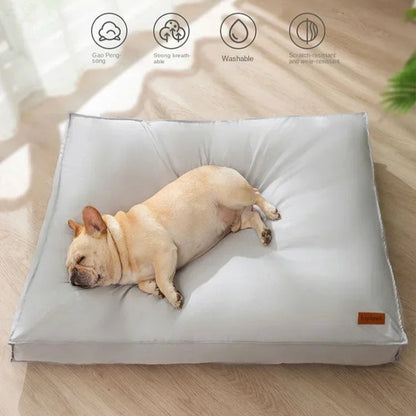 Chien couché sur un coussin orthopédique imperméable pour chien, offrant soutien et confort articulaire.