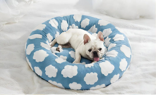 Coussin moelleux pour petit chien motif nuage bleu – effet cocon et antiglisse