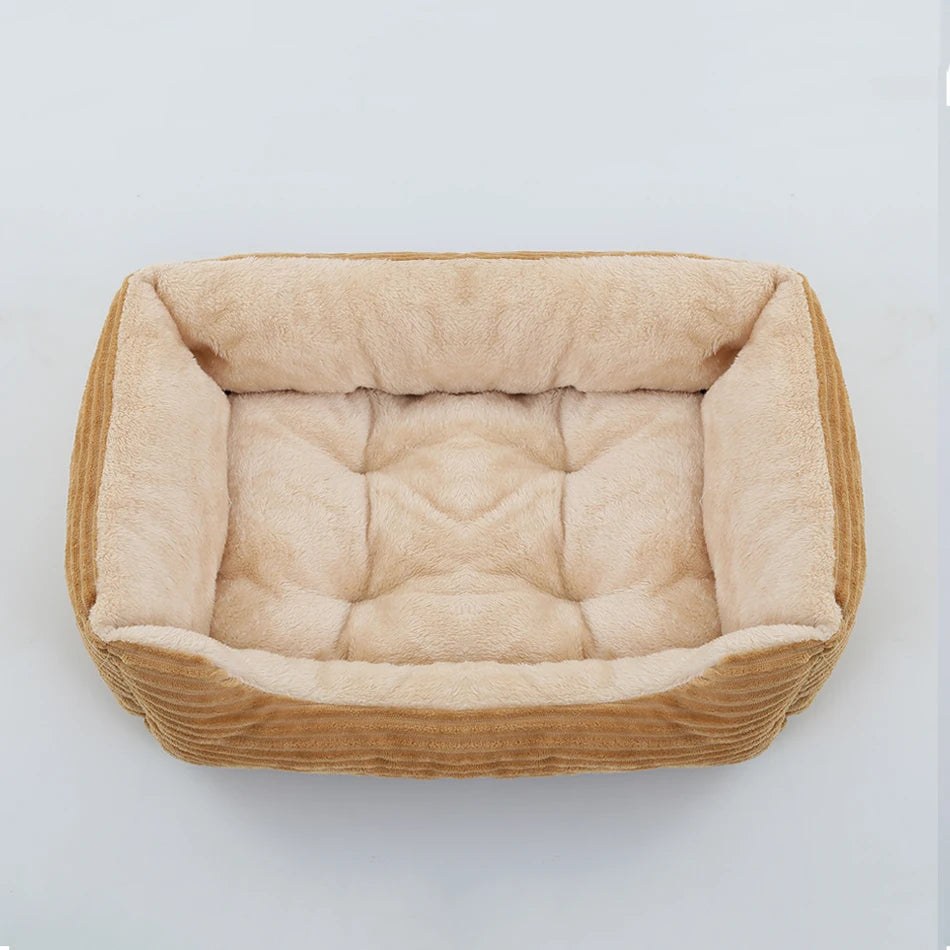zoom sur le tissu velours beige du coussin chien velours