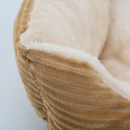 zoom sur la texture rembourrée du coussin chien velours crème