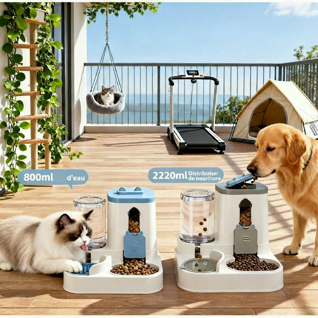 Distributeur de croquettes bleu et gris, gamelle automatique