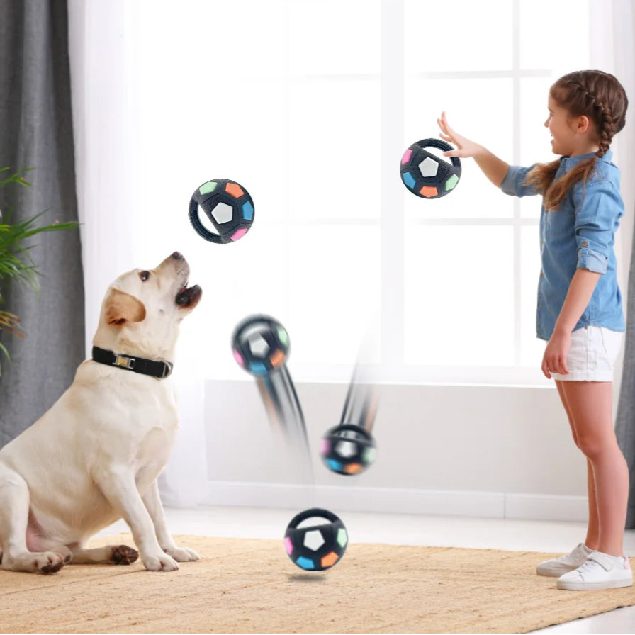 Un enfant et un chien s’amusent avec le ballon interactif dans le salon.