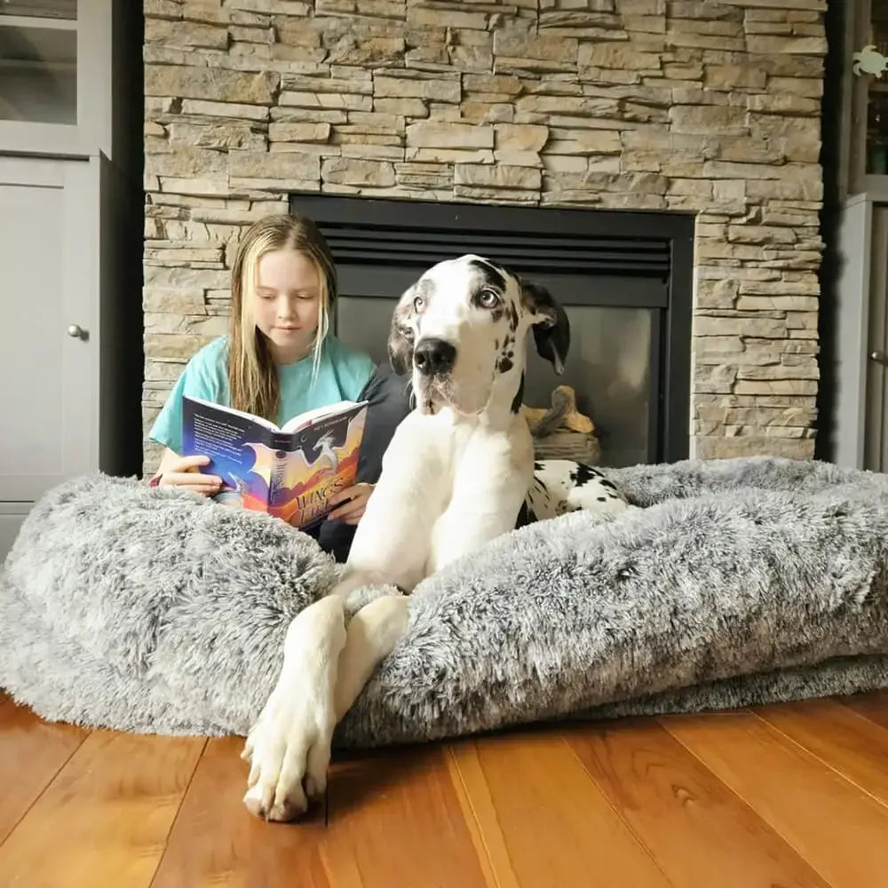 Panier pour chien géant - coussin XXL une fille et un chien allongé - Matelas orthopédique de qualité supérieure.