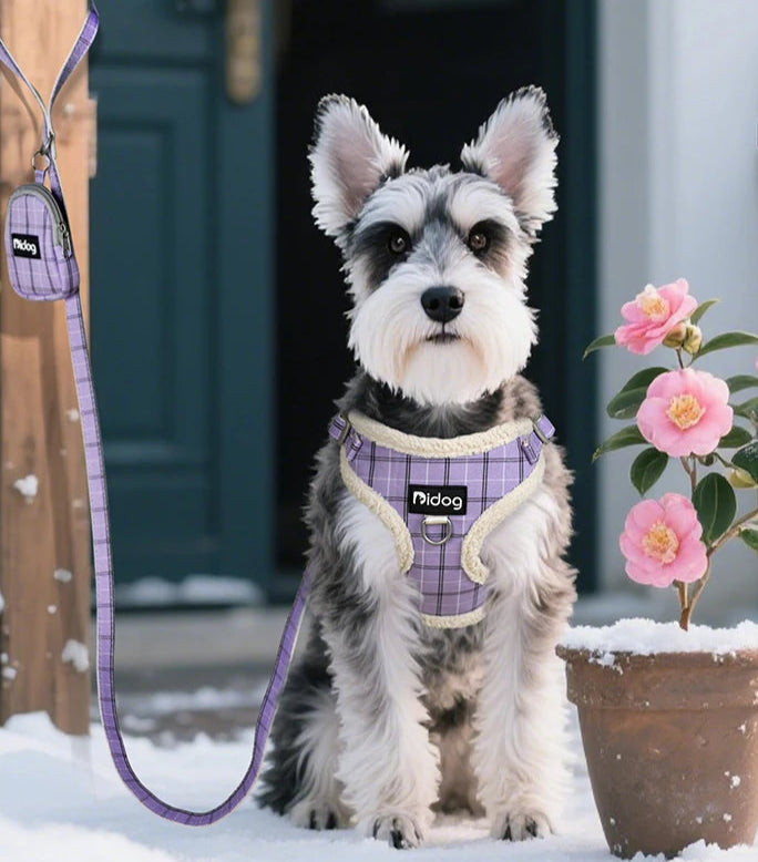 Petit chien de type Yorkshire portant un harnais violet assorti avec laisse et sac à crottes.