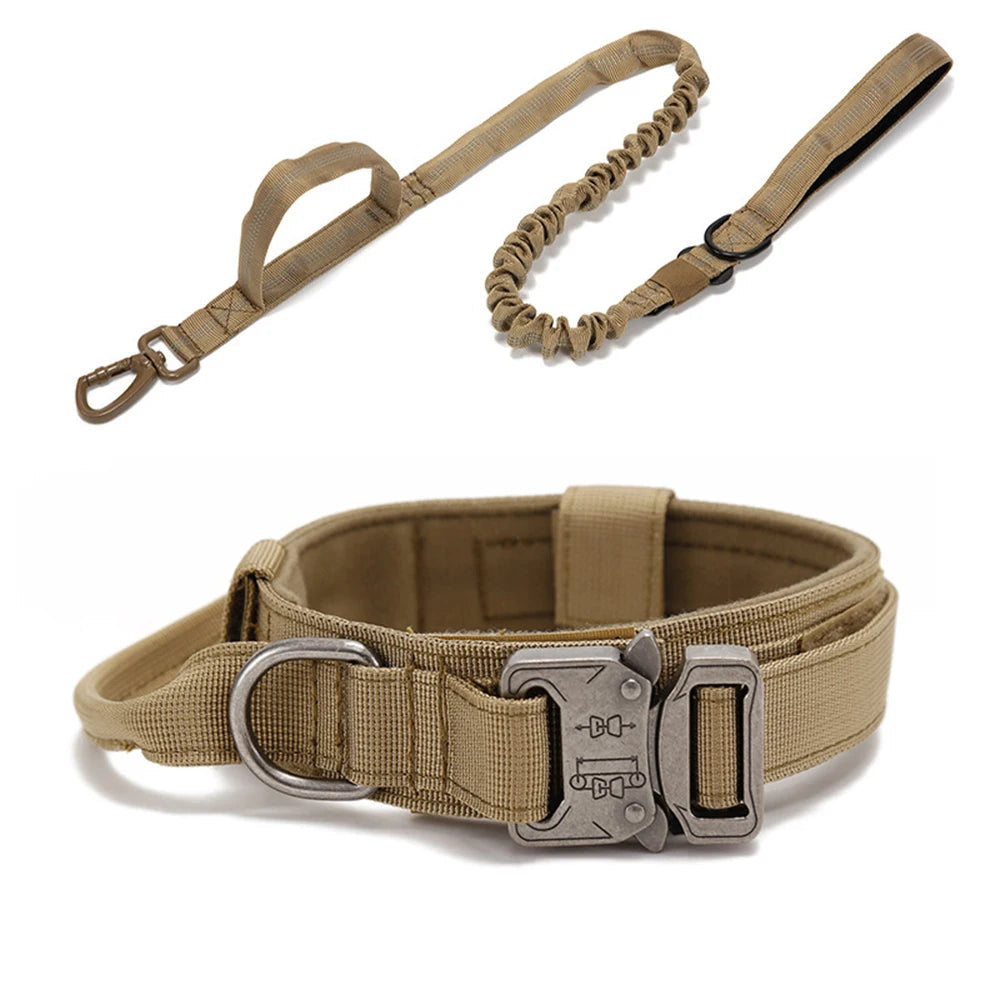 Laisse amortissante et collier beige pour chien – ensemble solide et confortable.
