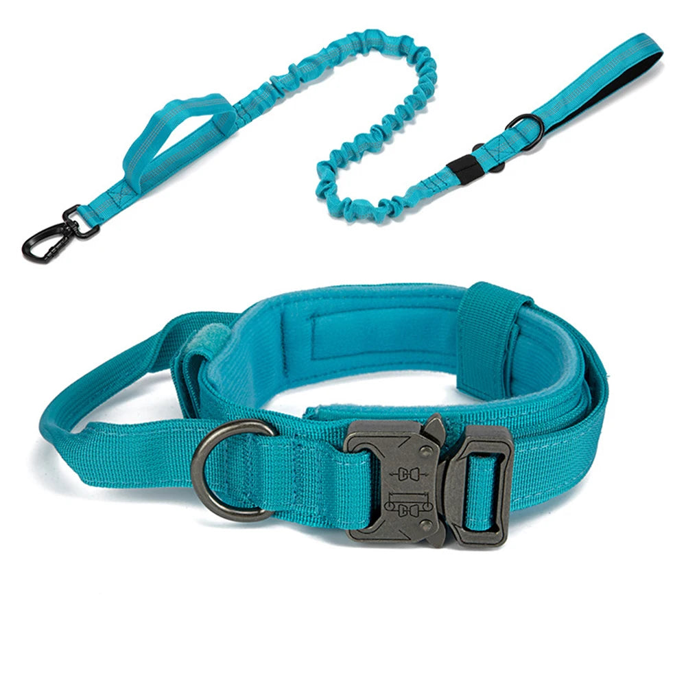 Laisse et collier tactique bleu turquoise – design moderne et fonctionnel.