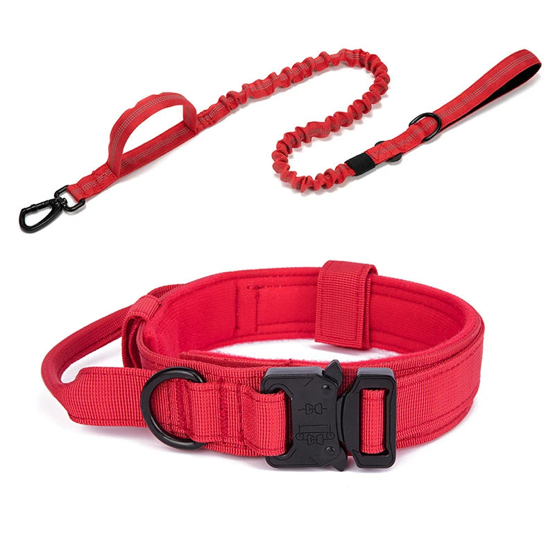 Laisse et collier rouge pour chien – style vif, sécurité renforcée.