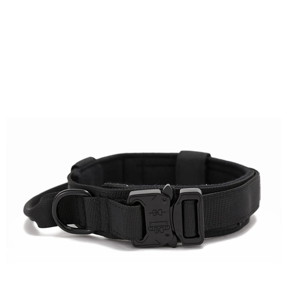 Laisse et collier pour chien rose – set complet pour balade et éducation.