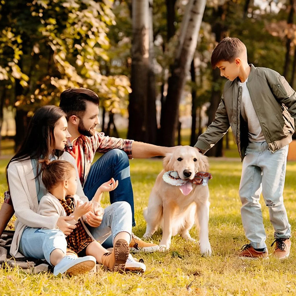 Famille jouant avec leur chien et un jouet à mâcher en plein air