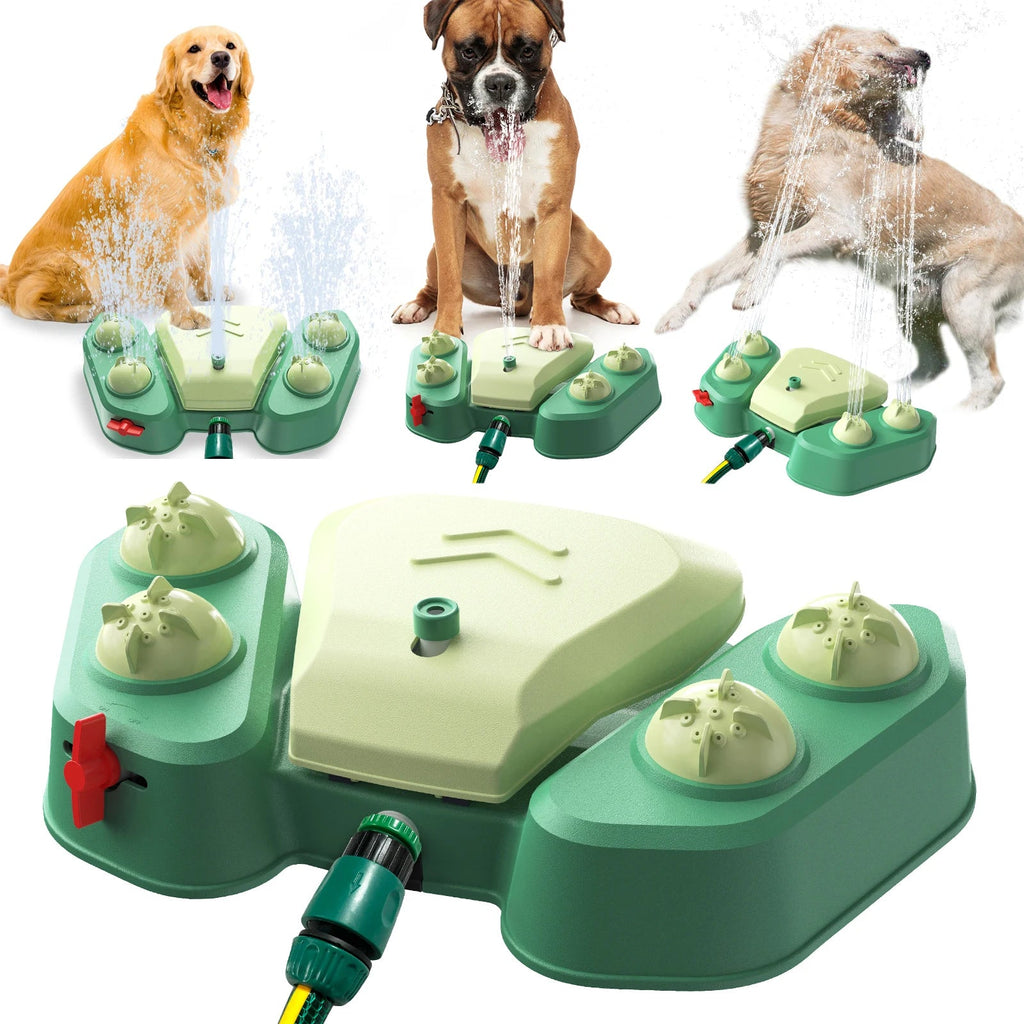  Fontaine à eau pour chien avec pédale et jets d’eau – trois grands chiens qui s’amusent avec le jet interactif