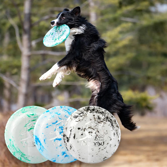 Frisbee pour chien volant dans les airs pendant un jeu de rapport