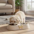 Gamelle petit chien double design BowLuxe™ – Élégance et confort