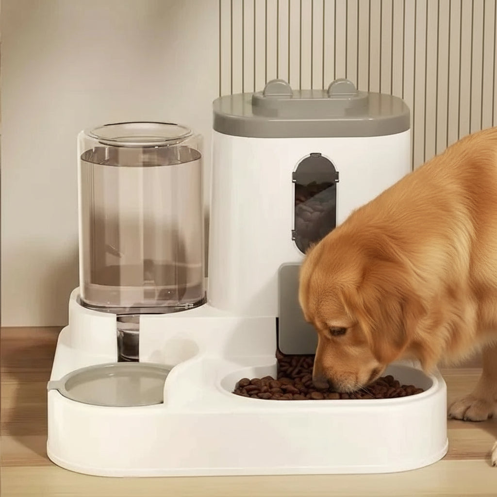 gamelle automatique pour chien, nettoyage facile et grande capacitée. Gamelle pour chien