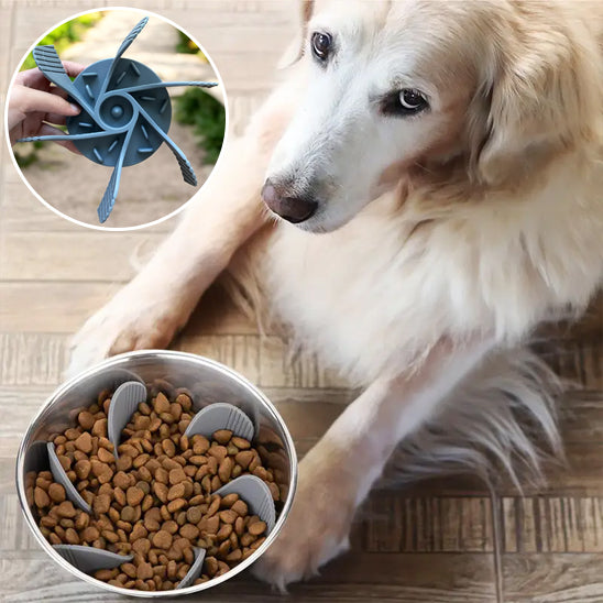 Chat et chien utilisant une gamelle chien anti glouton avec insert silicone pour digestion lente