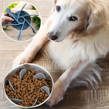 Chat et chien utilisant une gamelle chien anti glouton avec insert silicone pour digestion lente