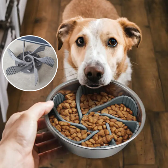 Chien regardant une gamelle chien anti glouton remplie de croquettes avec insert en silicone