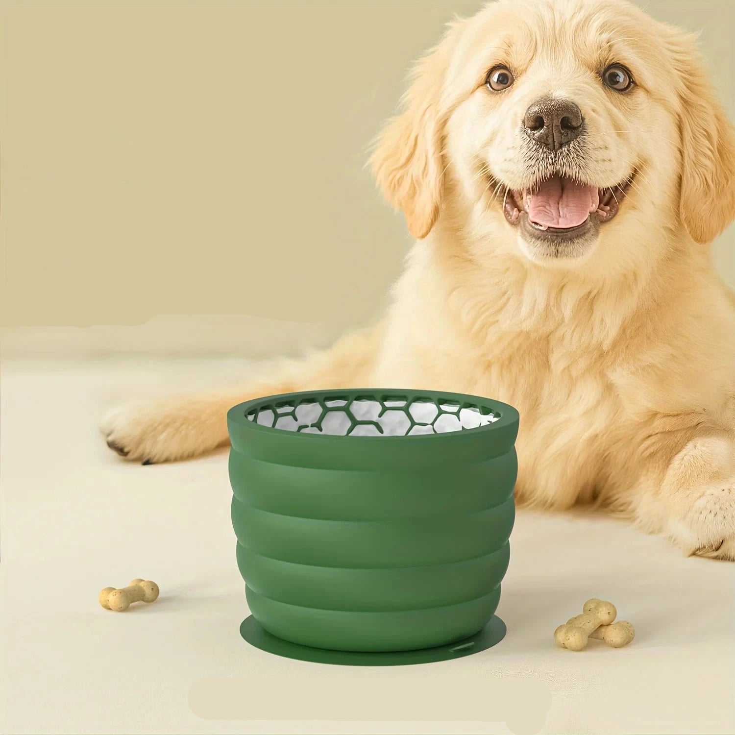 Chien heureux à côté d’une gamelle verte en silicone alimentaire, conçue pour soulager l’anxiété.