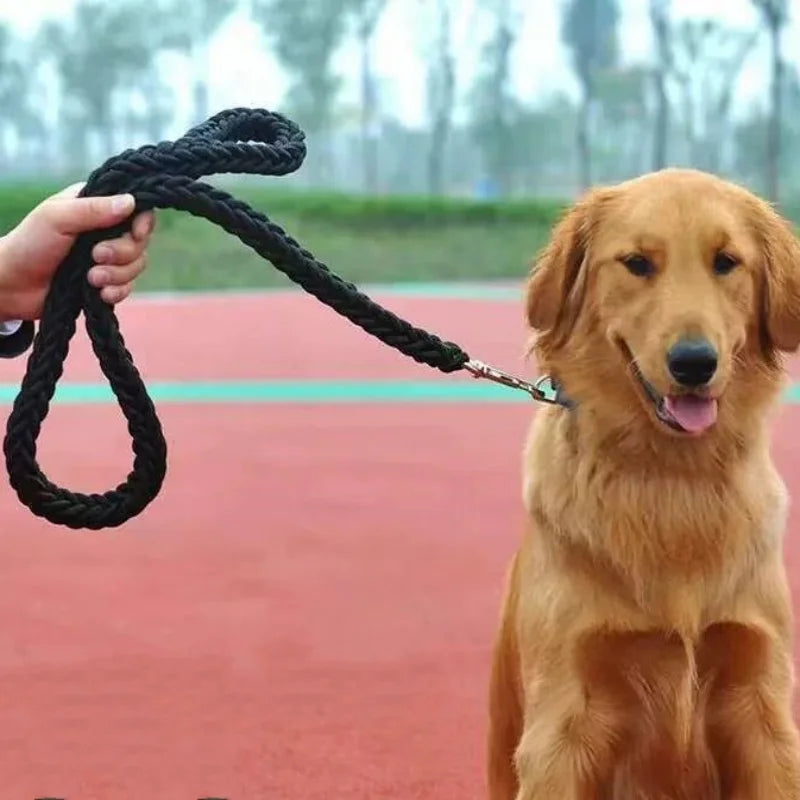 golden retriever tenu en laisse noire en nylon tressé robuste