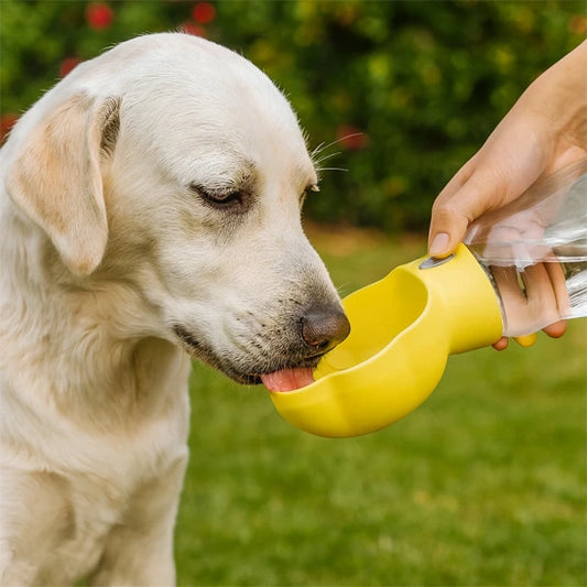 chien blanc buvant de l’eau dans une gourde pour chien jaune portable