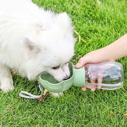 chien blanc buvant dans une gourde pour chien verte en promenade