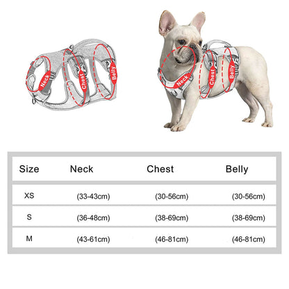 Guide des tailles du harnais anti-fugue pour chien avec mesures du cou, de la poitrine et du ventre.
