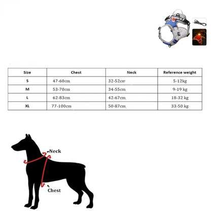 Tableau des tailles du harnais lumineux pour chien personnalisable, du S au XL avec mesures cou et poitrine.