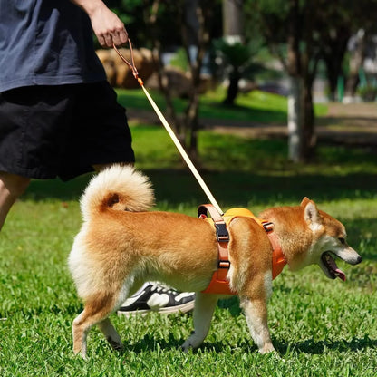 Harnais pour Chien avec Laisse Intégrée Rétractable – Anti - Choc & Ajustable - Noble Truffe